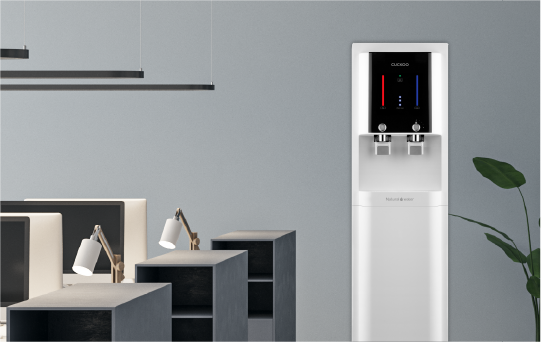 Queen-Stand-Gallery3b