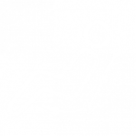 icon-customise-01a-280x280